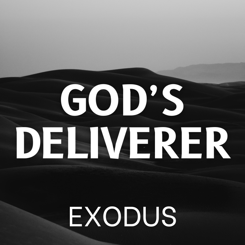 god’s deliverer (1)